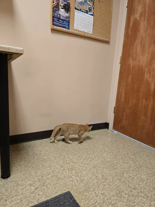 Country Creek Animal Hospital Picture 7