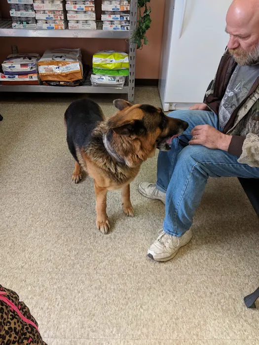 Country Creek Animal Hospital Picture 10