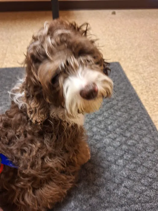 Country Creek Animal Hospital Picture 4