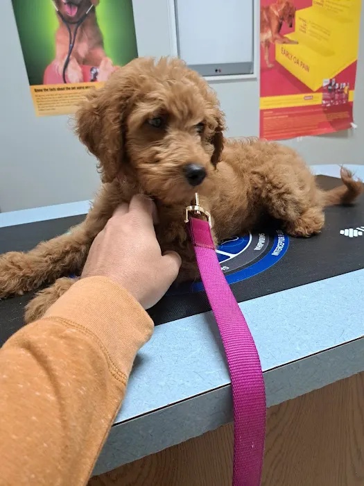 Lyon Veterinary Clinic Picture 10