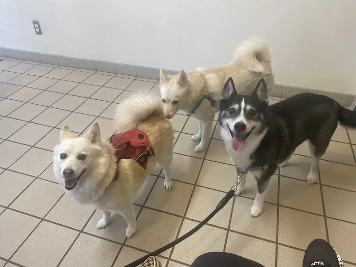 South Lyon Animal Clinic Picture 7