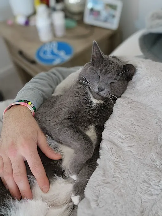 South Lyon Animal Clinic Picture 3