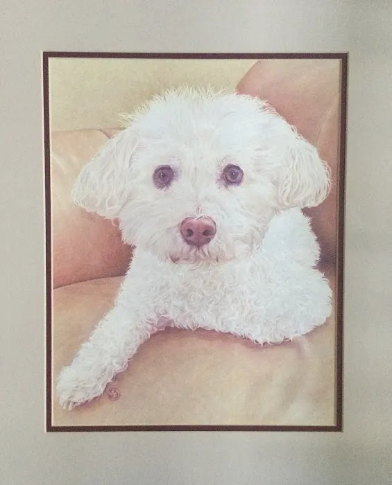 Remrock Farms Veterinary Services Picture 1