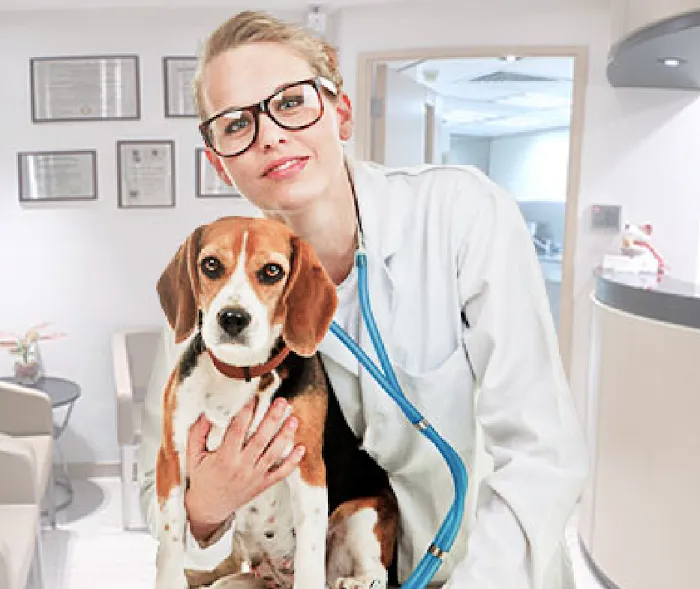 Remrock Farms Veterinary Services Picture 7