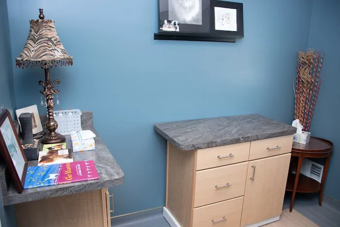 Country Cat Clinic Picture 1