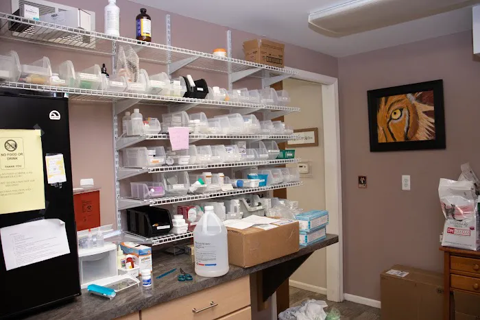 Country Cat Clinic Picture 8