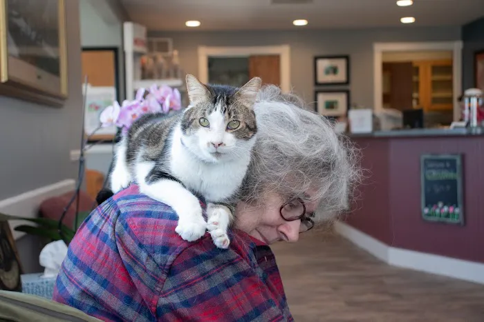 Country Cat Clinic Picture 7