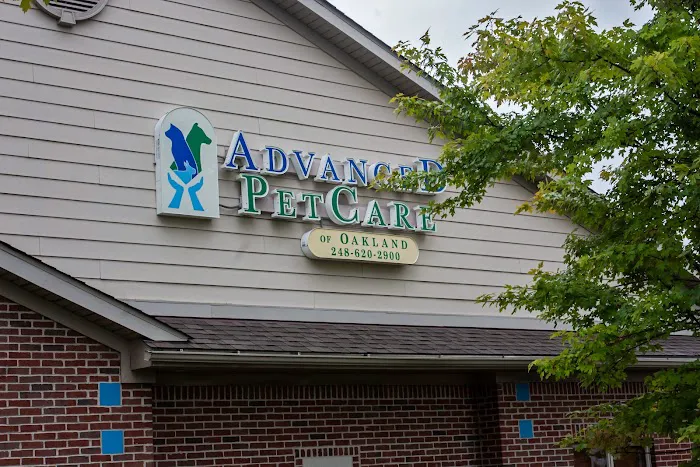 Advanced Pet Care of Oakland Picture 8