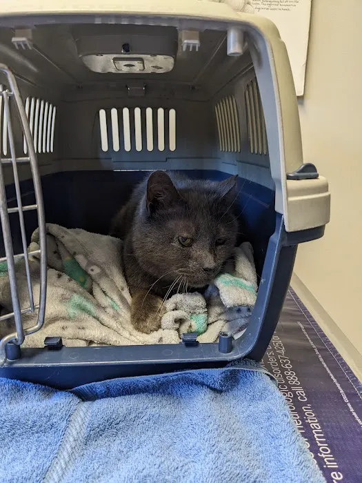 Lake Orion Veterinary Hospital Picture 3