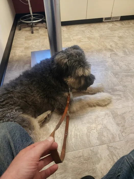 Lake Orion Veterinary Hospital Picture 1