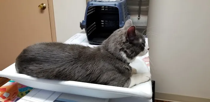 Lake Orion Veterinary Hospital Picture 6