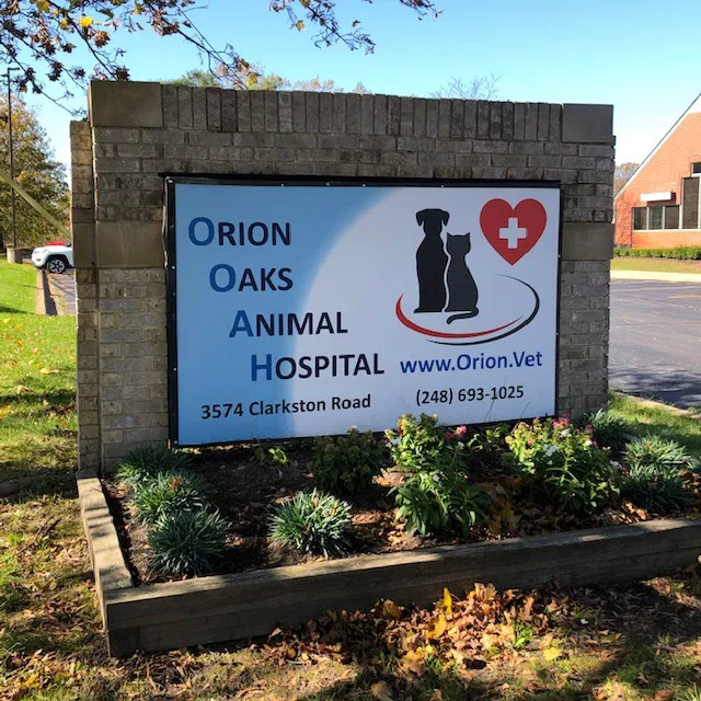Orion Oaks Animal Hospital Picture 5