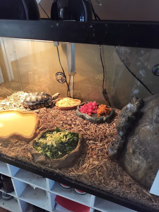 Orion Oaks Animal Hospital Picture 7