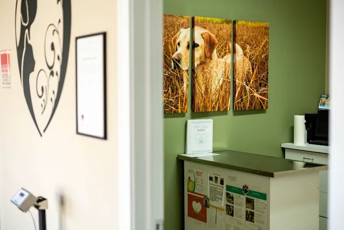 Animal Wellness & Medical Center of Oxford Picture 3
