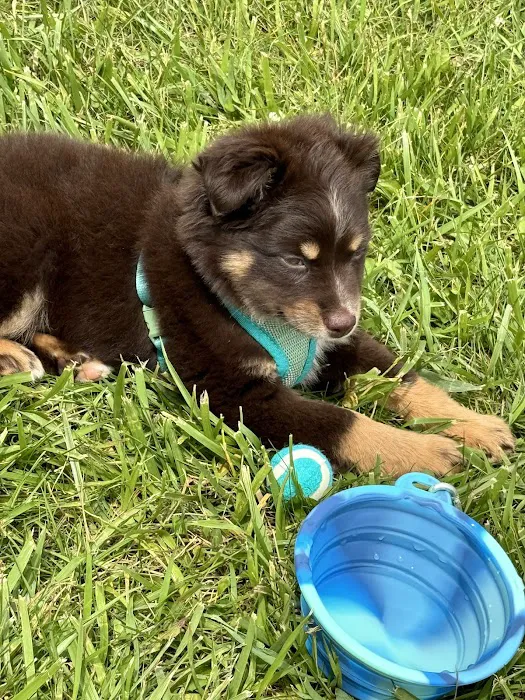 Parker Veterinary Hospital Picture 1
