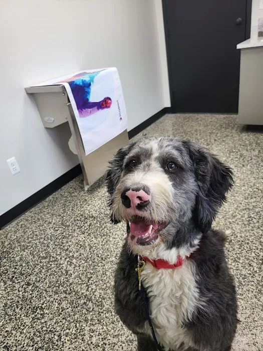 Lakeville Animal Clinic Picture 6
