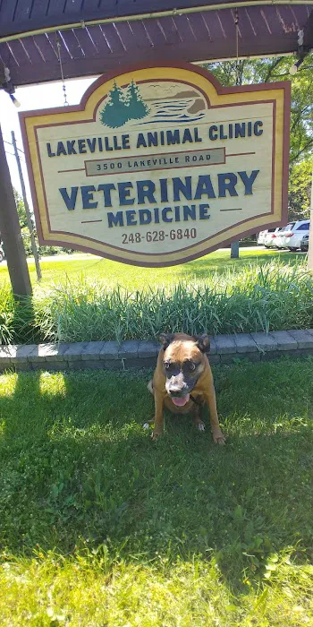 Lakeville Animal Clinic Picture 1