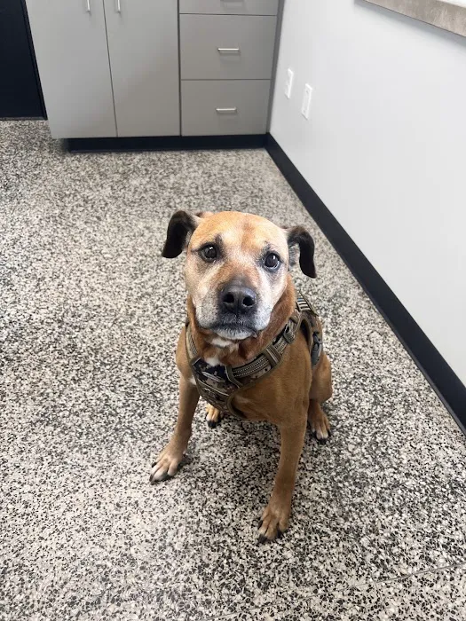 Lakeville Animal Clinic Picture 7