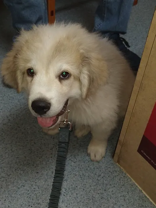Brooks Animal Clinic Picture 2