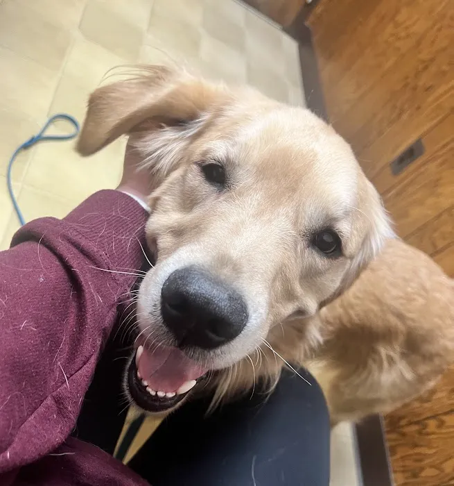 Springfield Veterinary Clinic Picture 1
