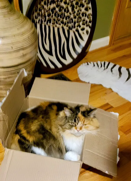 Springfield Veterinary Clinic Picture 2
