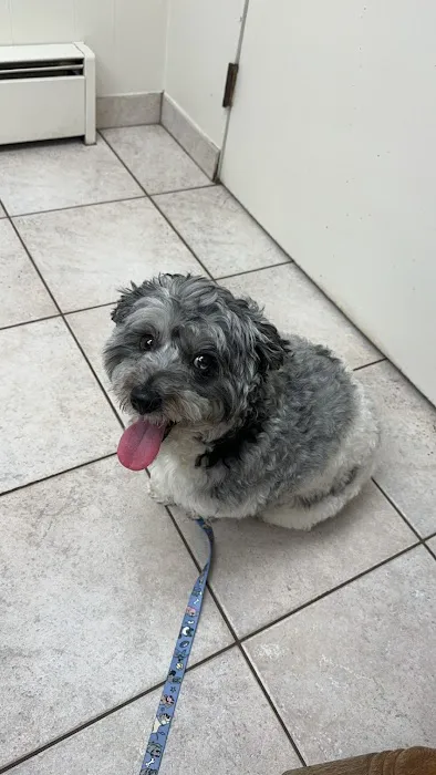 Milford Veterinary Clinic PC Picture 3