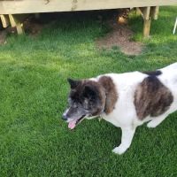 Milford Veterinary Clinic PC ico