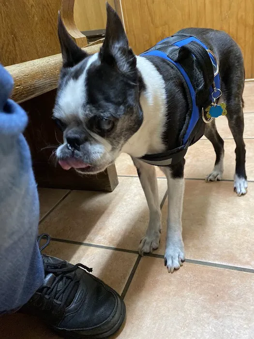 Veterinary Care Services of Milford Picture 10