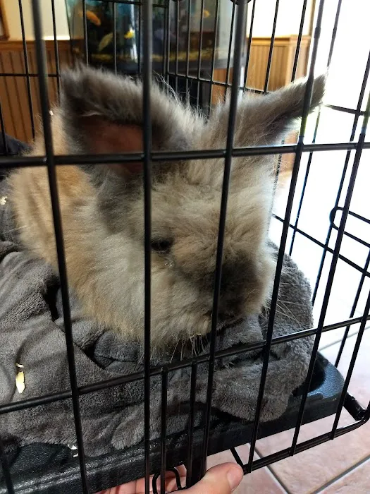 Veterinary Care Services of Milford Picture 1