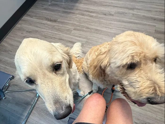 Veterinary Care Services of Milford Picture 9