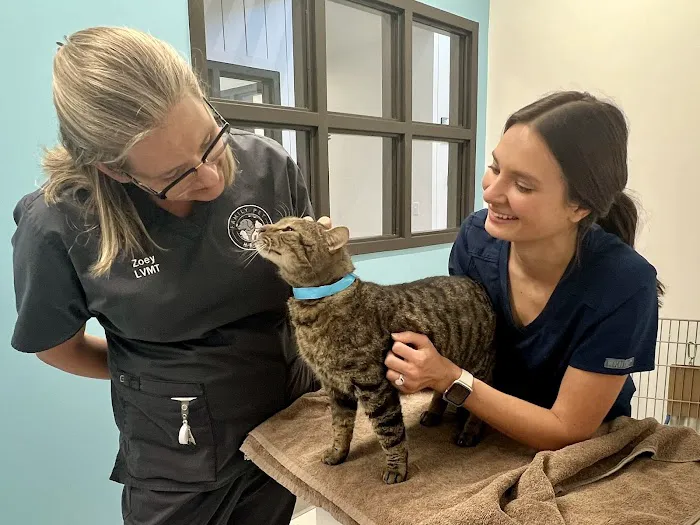 Family Pet Health Picture 6