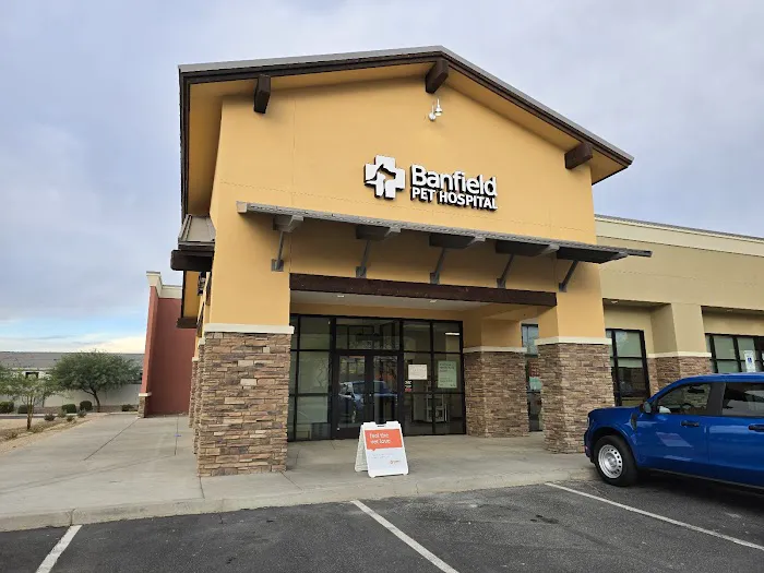 Banfield Pet Hospital Picture 2