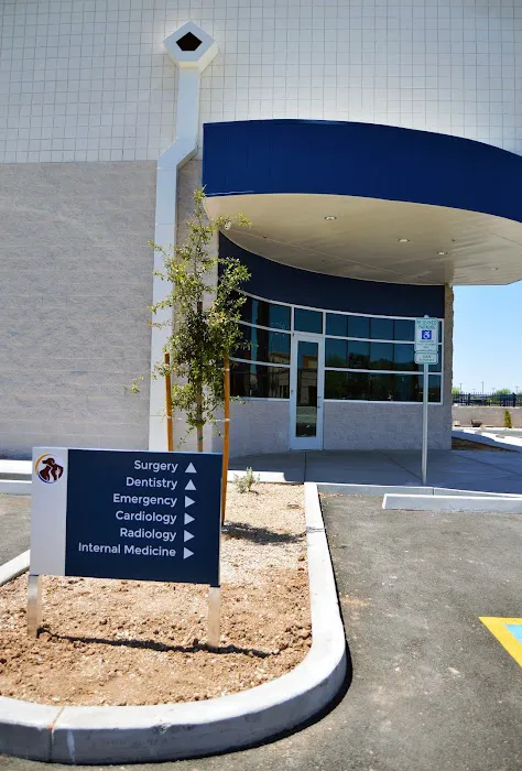 Southwest Veterinary Surgical Service, PC Picture 9
