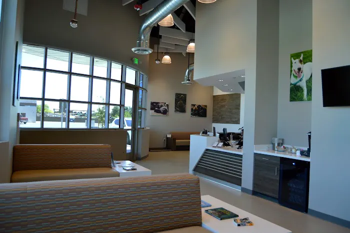 Southwest Veterinary Surgical Service, PC Picture 1
