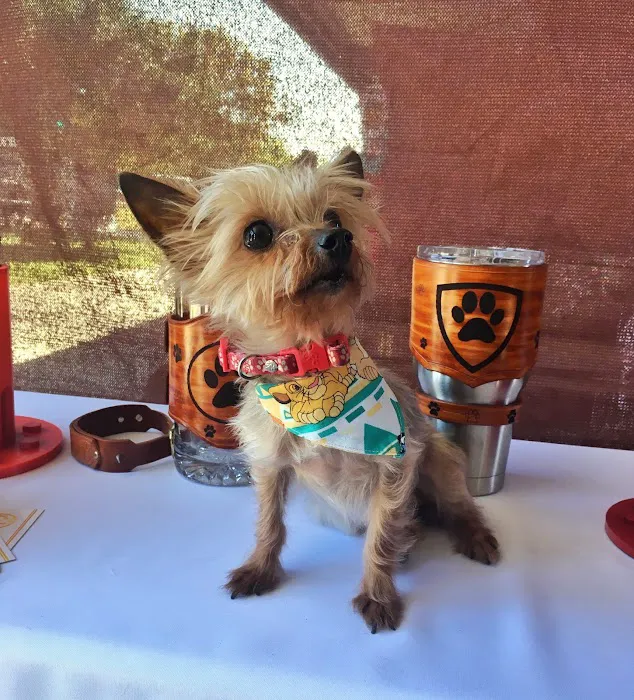 Arizona Veterinary Emergency & Critical Care Center Picture 6