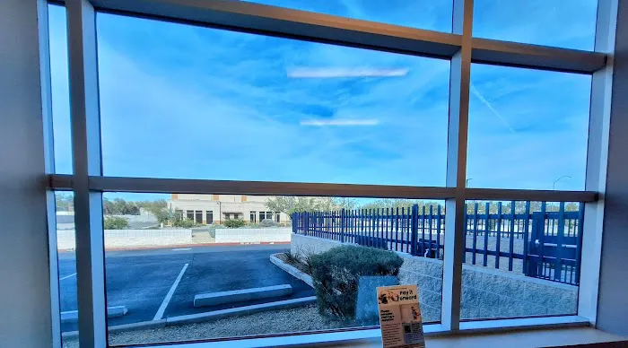 Canyon State Veterinary Specialties Picture 3