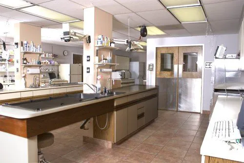 Apollo Animal Hospital Picture 7