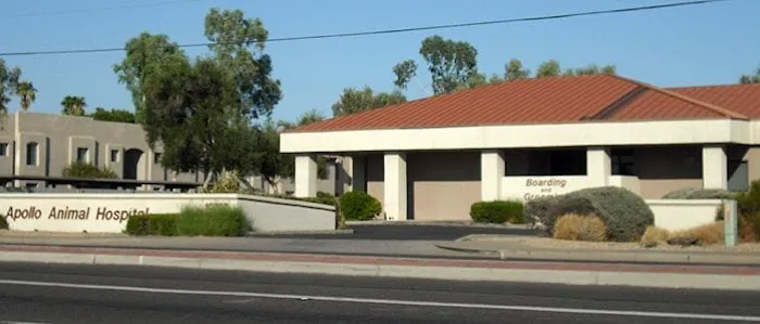 Apollo Animal Hospital Picture 5
