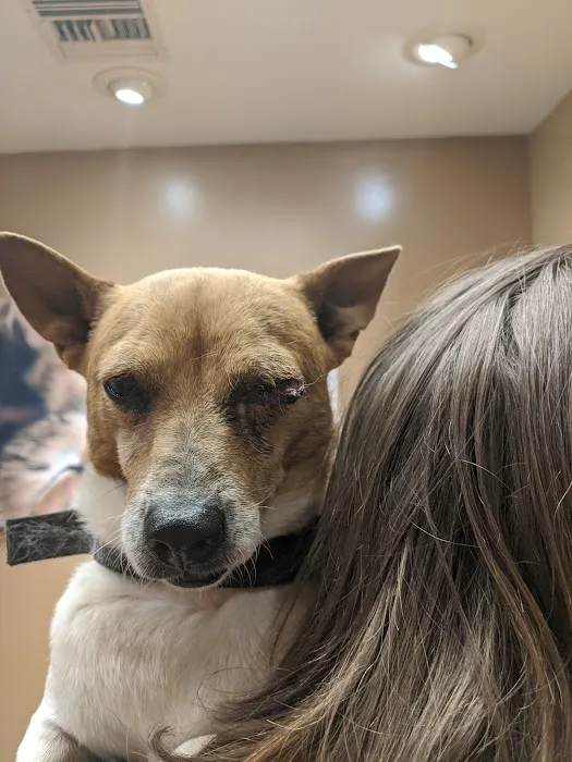 Catalina Animal Hospital Picture 5