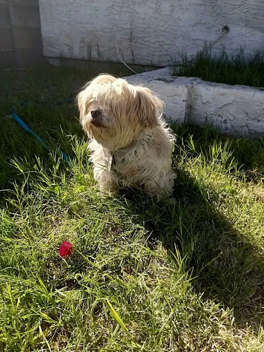 Catalina Animal Hospital Picture 6