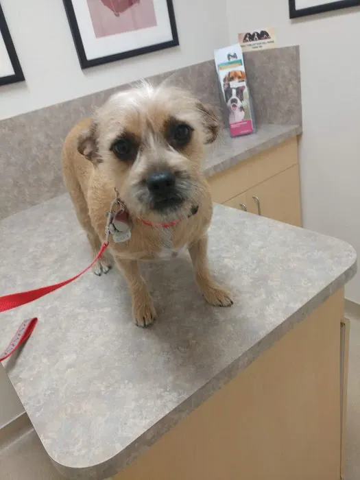 Acoma Animal Hospital Picture 1