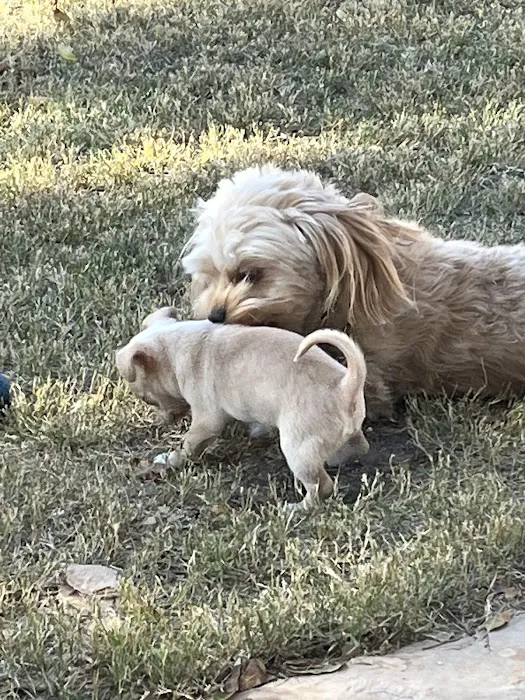Acoma Animal Clinic Picture 8