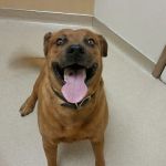 Acoma Animal Clinic