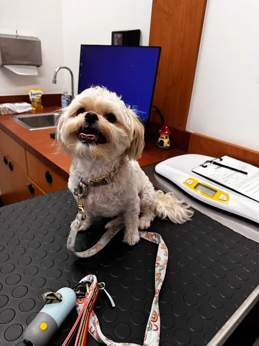 PetSmart Veterinary Services - Phoenix (Metro Center) Picture 4