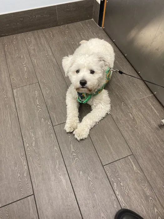 PetSmart Veterinary Services - Phoenix (Metro Center) Picture 8