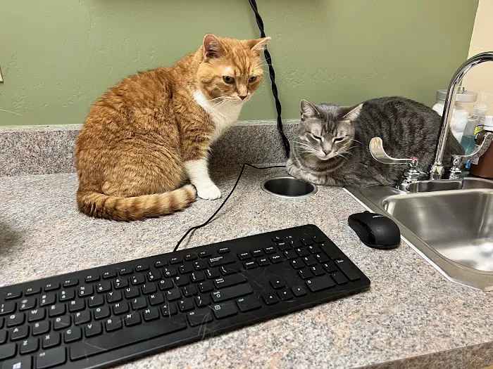 Larkspur Cat Clinic Picture 2