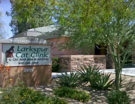 Larkspur Cat Clinic Picture 9