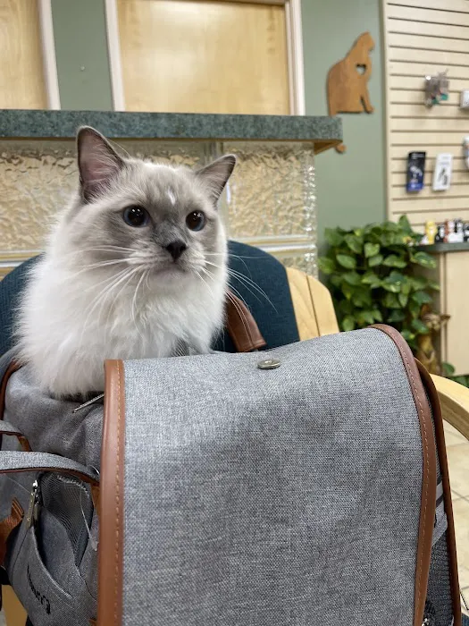 Larkspur Cat Clinic Picture 3