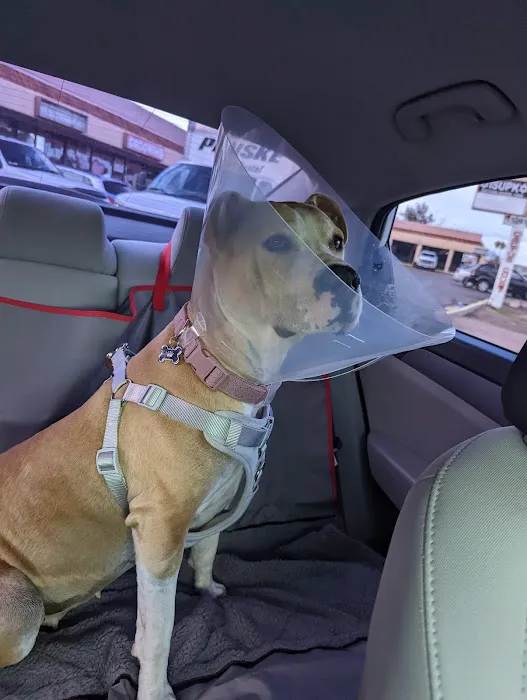 Metro Pet Spay & Neuter Picture 4