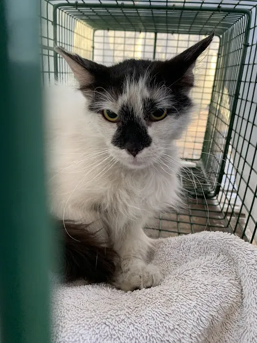 Metro Pet Spay & Neuter Picture 9